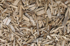 biomass boilers Scredda